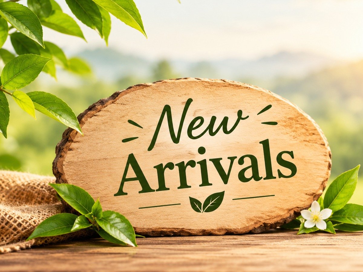 New Arrival