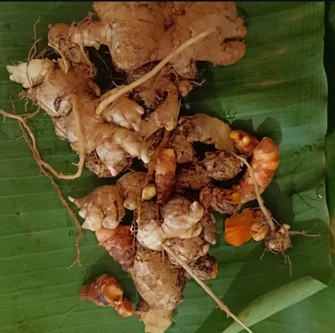 ANANTA GOLD – ORGANIC DRY TURMERIC POWDER - STOCK LIMITED :  ( Source - Ananta Organic Farm , Sindhudurg )