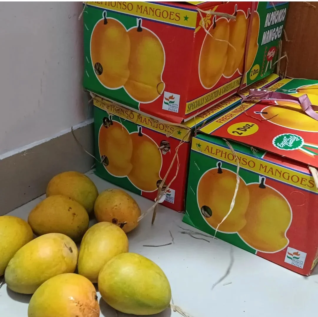 PREBOOK -Devgad Alphonso Mangoes 🥭